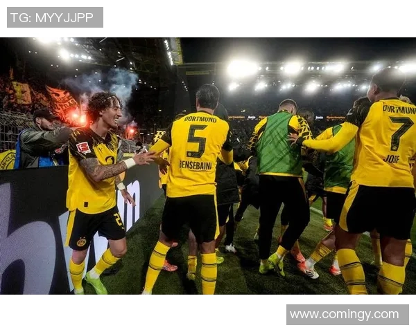 国际足联俱乐部世界杯多特蒙德主场翻新工程启动